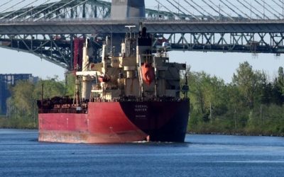 Le bas niveau du Saint-Laurent oblige à abaisser les cargaisons des transporteurs