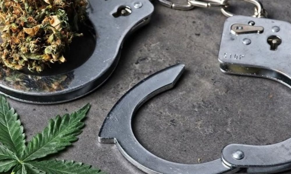 résidents,stupéfiants,fm1033,arrêtées,perquisitions,policières,justice,cadre,comparu,tribunal,enquête,cannabis,police,opération,drone,saisie,gramme