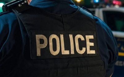 Le SPAL participe à une saisie de drogue