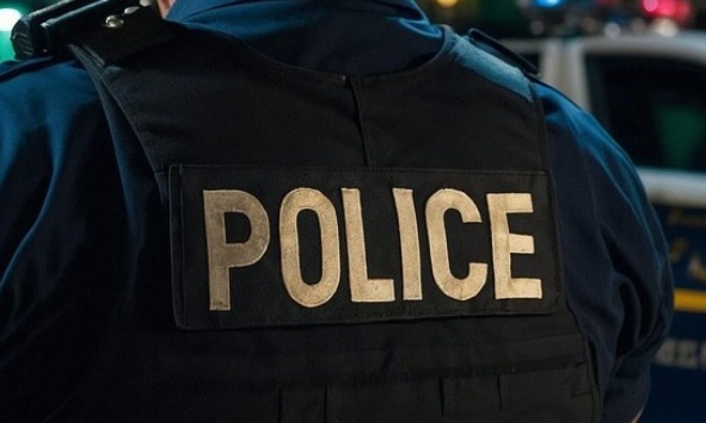 Le SPAL participe à une saisie de drogue