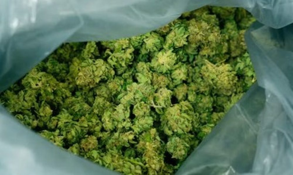 Suspects,accusation,trafic,production,possession,stupéfiants,arrêtés,vaste,police,service,opération,Longueuil,enquête,dollars,drogues