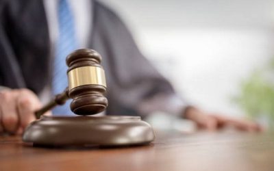 entreprise,Carignan,condamnée,déversement,coupable,loi,qualité,amende,travaux,déboisement,infraction,tribunal,contribution,autorisation,milieu,humide