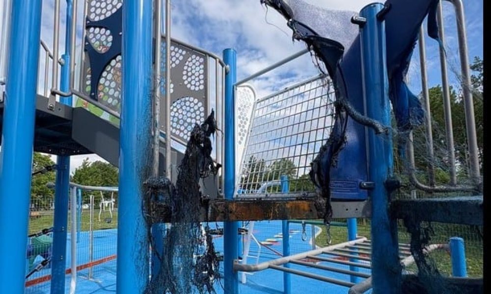 ville,semaine,assurer,sécurité,objet,photos,vidéos,enquête,cours,témoignage,rencontres,stratégies,surveillance