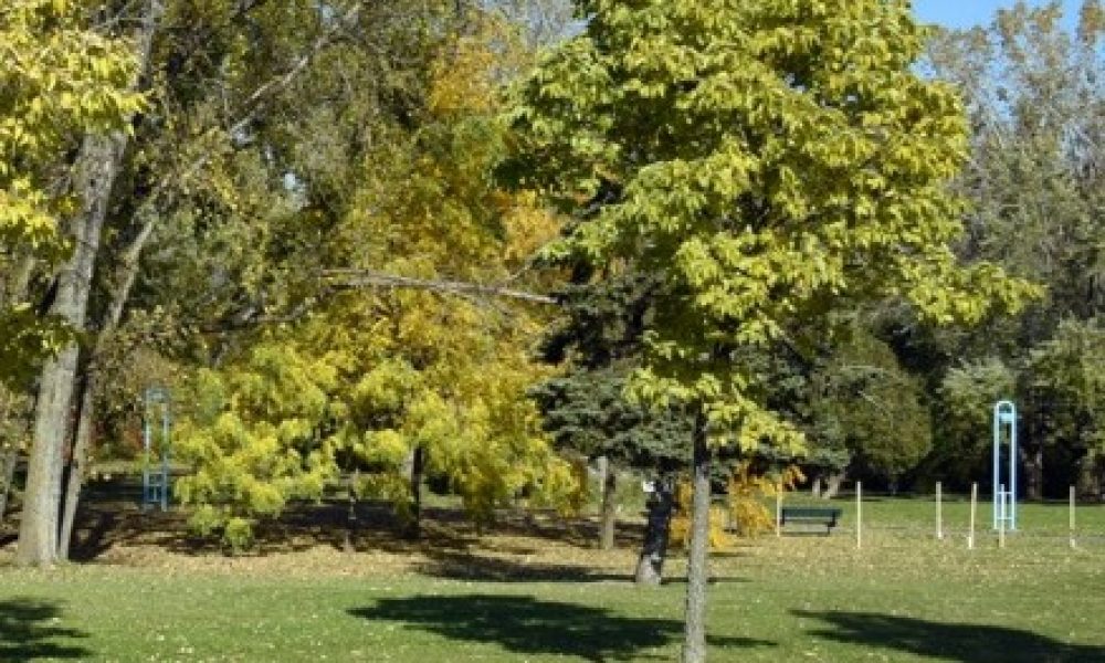 ville,Longueuil,territoire,plan,verdissement,partenariat,société,alliance,organisations,arbres,dollars,phase,année,chaleur,travaux,projets,changements,urbaine,but,moitié