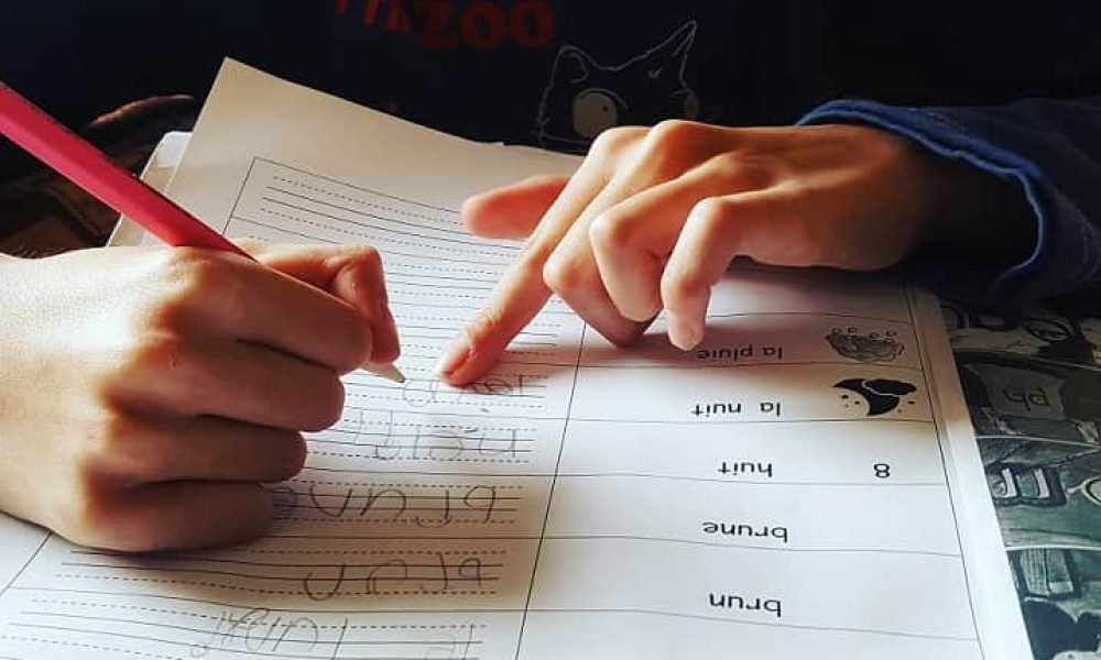 Le Collège Charles-Lemoyne a une clinique pour les troubles d’apprentissage