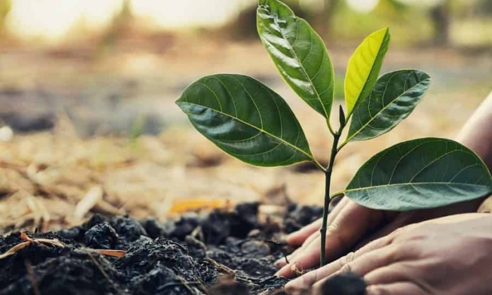 Photo : Facebook Ville de Longueuil