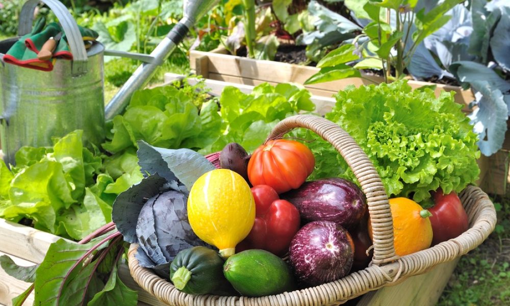 Le plan d’action propose la mise en œuvre de 50 actions d’ici 2023. Photo: Ville de Brossard