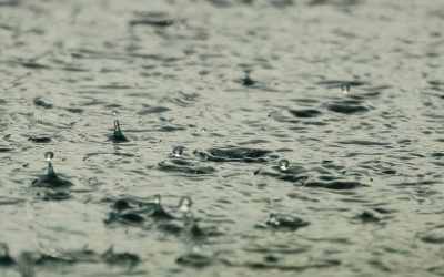 Rive-Sud,veille,orages,violents,villes,averses,pluie,bourrasques,vent,prudence,eau,tornade,arbres,abris,toitures,temps