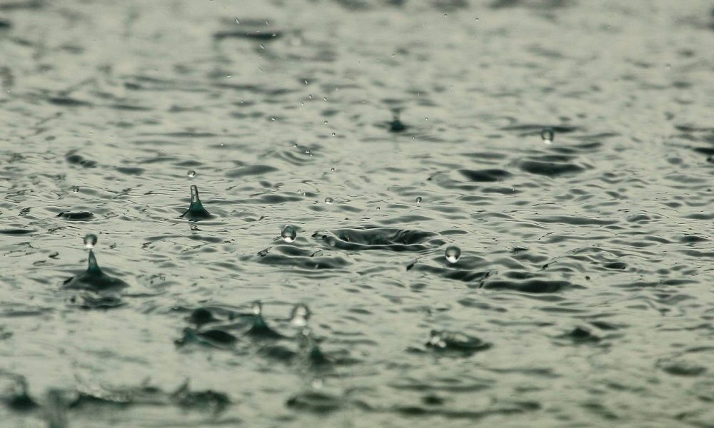 Rive-Sud,veille,orages,violents,villes,averses,pluie,bourrasques,vent,prudence,eau,tornade,arbres,abris,toitures,temps