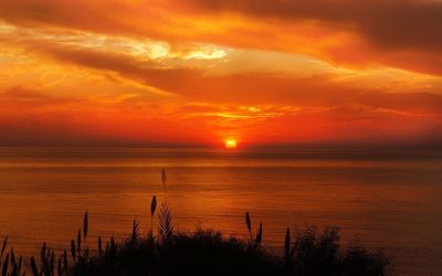 Bilan mensuel de l’actualité du mois de juillet 2021