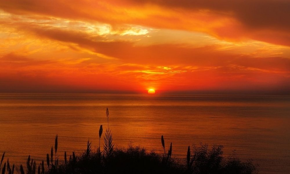 Bilan mensuel de l’actualité du mois de juillet 2021