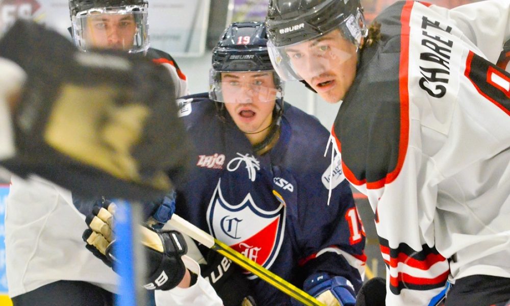 Joueurs de hockey lors d'un match