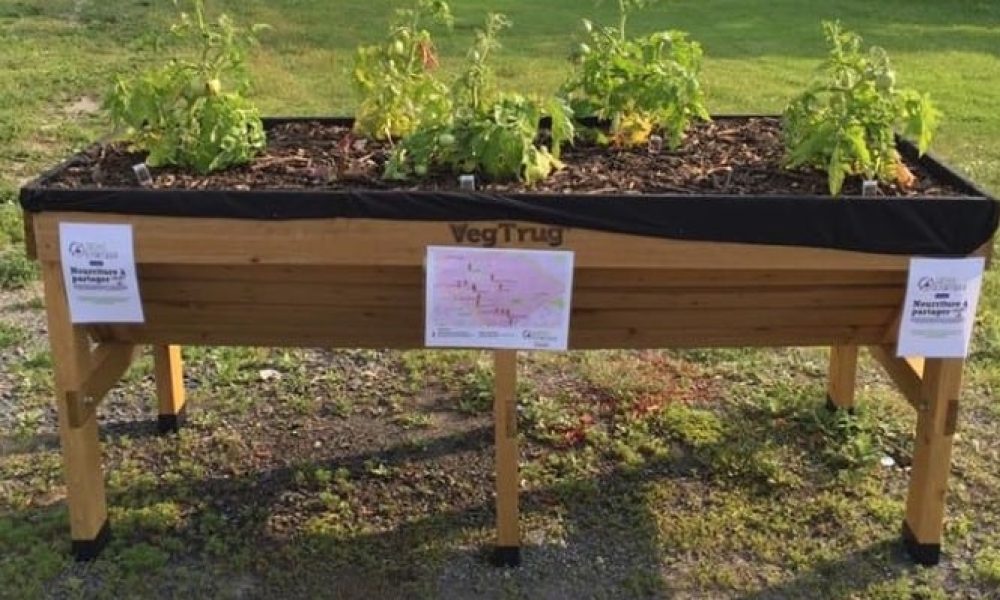 Un deuxième rallye découverte pour les Jardins à partager à Saint-Hubert