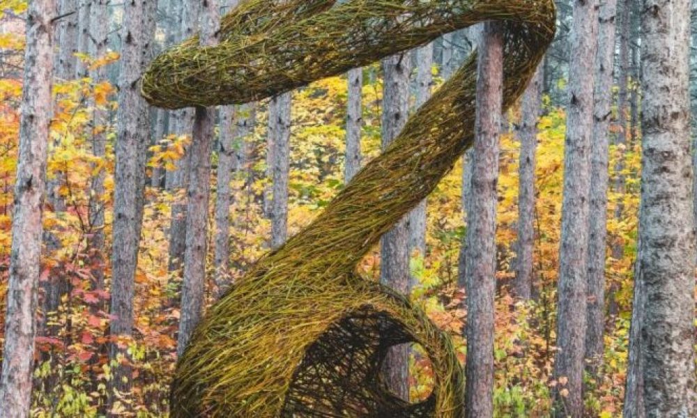 Évènement Créations-sur-le-camps et Land art à Mont-Saint-Hilaire