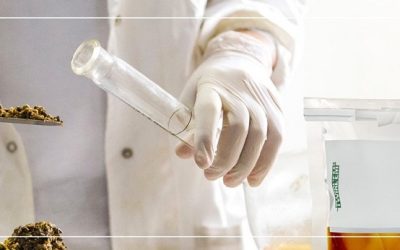 entreprise,députée,production,octroi,moderniser,installations,produits,stériles,outils,position,doubler,forme,chercheurs,alimentaires,performance,stratégie