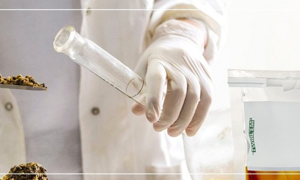 entreprise,députée,production,octroi,moderniser,installations,produits,stériles,outils,position,doubler,forme,chercheurs,alimentaires,performance,stratégie