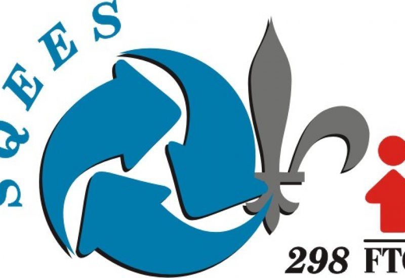 Logo_SQEES-298_petit_couleur
