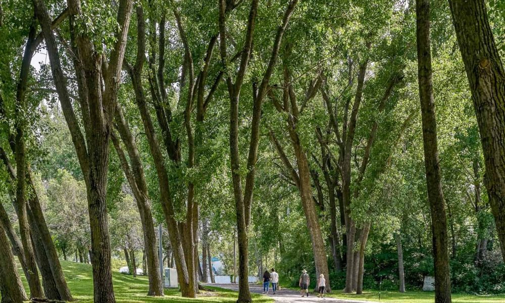 Source: Ville de Longueuil (archives 2019 du Parc Marie-Victorin)