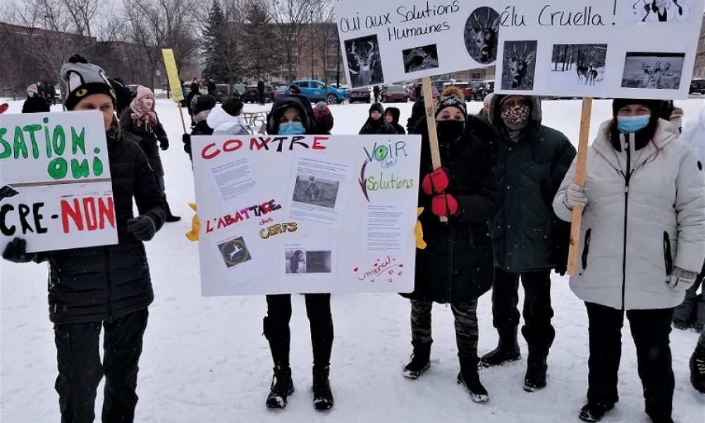 Environ 150 manifestants sont venus militer, pour la cause des cerfs de Virginie au parc Michel-Chartrand. Photo : Katina Diep
