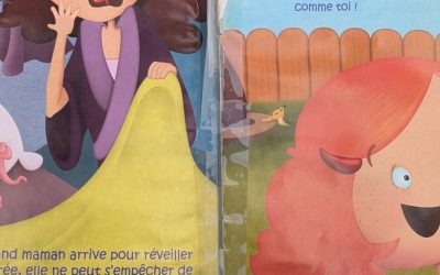 publication,réactions,négatives,livres,bibliothèque,message,citoyens,population,photos,dommages,ouverts,abusif,frais,payé,section,commentaires,résident,exemple