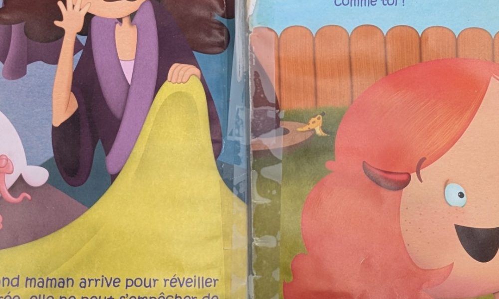 publication,réactions,négatives,livres,bibliothèque,message,citoyens,population,photos,dommages,ouverts,abusif,frais,payé,section,commentaires,résident,exemple