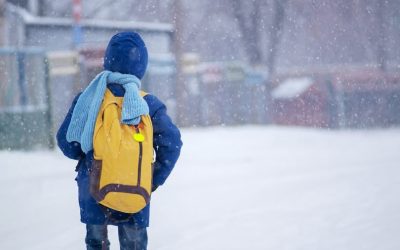 Photo: CSS Marie-Victorin