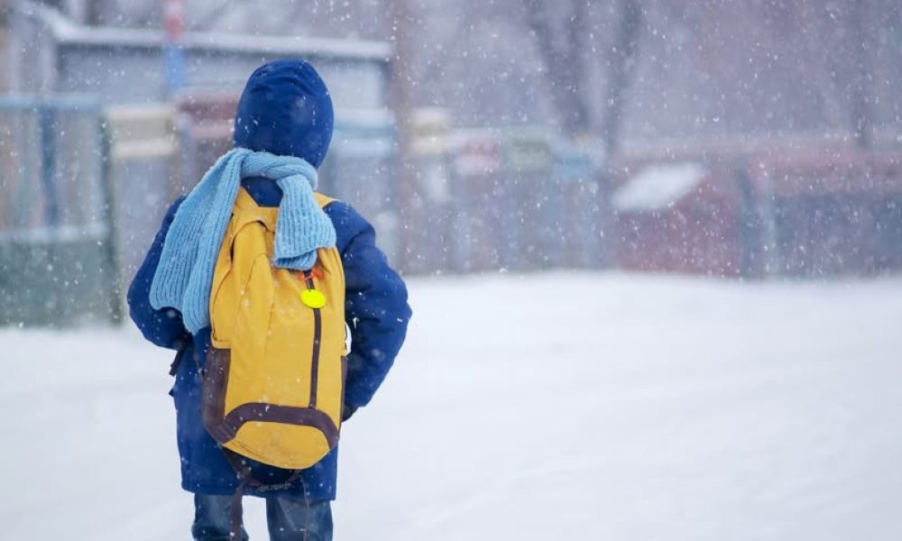 Photo: CSS Marie-Victorin