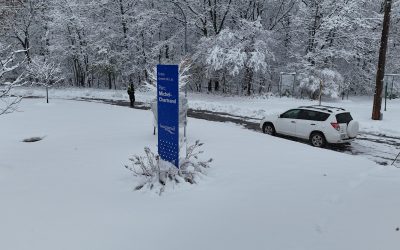 Photo: Sauvetage Animal Rescue