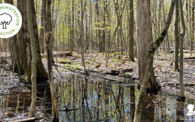 Retirer un terme : cadre cadreRetirer un terme : climat climatRetirer un terme : études étudesRetirer un terme : humides humidesRetirer un terme : intérêt intérêtRetirer un terme : mesures mesuresRetirer un terme : milieux milieuxRetirer un terme : plan planRetirer un terme : plantation plantationRetirer un terme : protection protectionRetirer un terme : restaurer restaurerRetirer un terme : territoire territoireRetirer un terme : Ville VilleRetirer un terme : zones zones