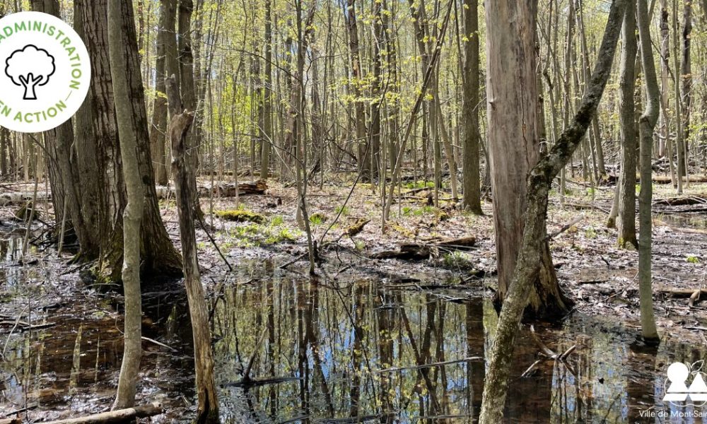 Retirer un terme : cadre cadreRetirer un terme : climat climatRetirer un terme : études étudesRetirer un terme : humides humidesRetirer un terme : intérêt intérêtRetirer un terme : mesures mesuresRetirer un terme : milieux milieuxRetirer un terme : plan planRetirer un terme : plantation plantationRetirer un terme : protection protectionRetirer un terme : restaurer restaurerRetirer un terme : territoire territoireRetirer un terme : Ville VilleRetirer un terme : zones zones