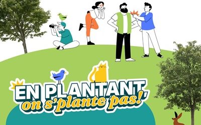 ville,La Prairie,campagne,information,place,arbre,slogan,initiative,bienfaits,sujet,changement,climatique,vidée,résident,maire,verte