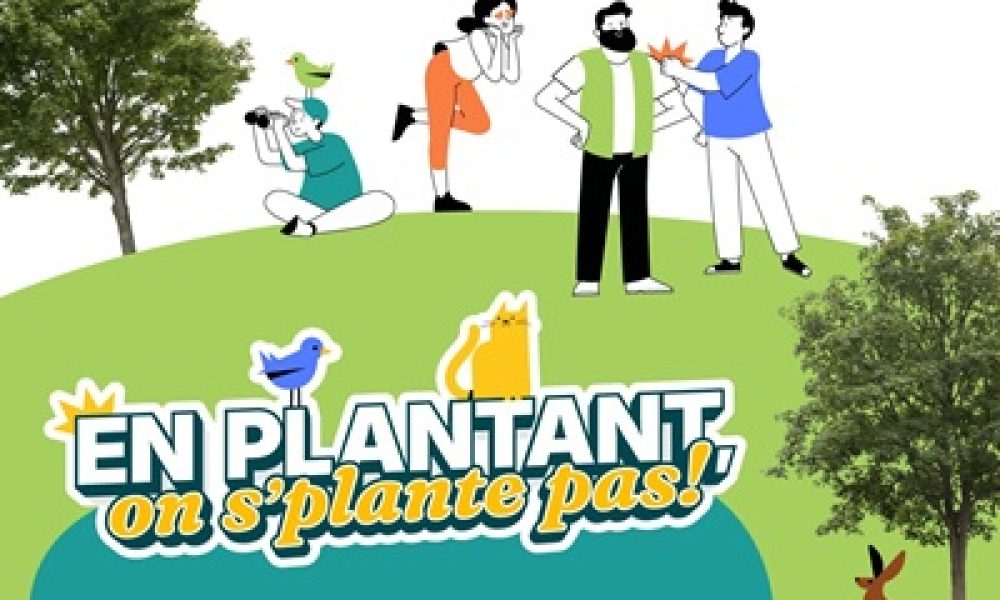 ville,La Prairie,campagne,information,place,arbre,slogan,initiative,bienfaits,sujet,changement,climatique,vidée,résident,maire,verte