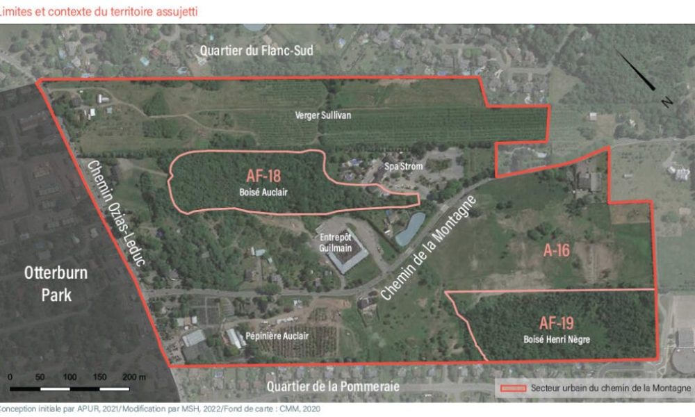 Les boisés protégés se situent dans la Zone A-16, qui fait l'objet de plusieurs démarches environnementales de la Ville. Photo: Site Web de la Ville de Mont-Saint-Hilaire