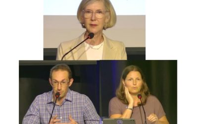 Verdict divisé à Saint-Lambert dans le dossier d’élus et la mairesse