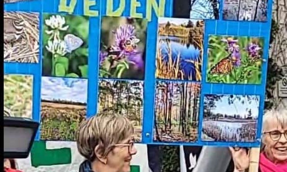 Rédigez une nouvelle brève d'environ 90 mots avec comme élément le sujet, qui veut quoi, pourquoi et où, sans négliger le comment et le quand. Selon texte soumis en rubrique.