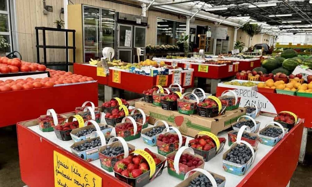 Photo: Éloise Robert