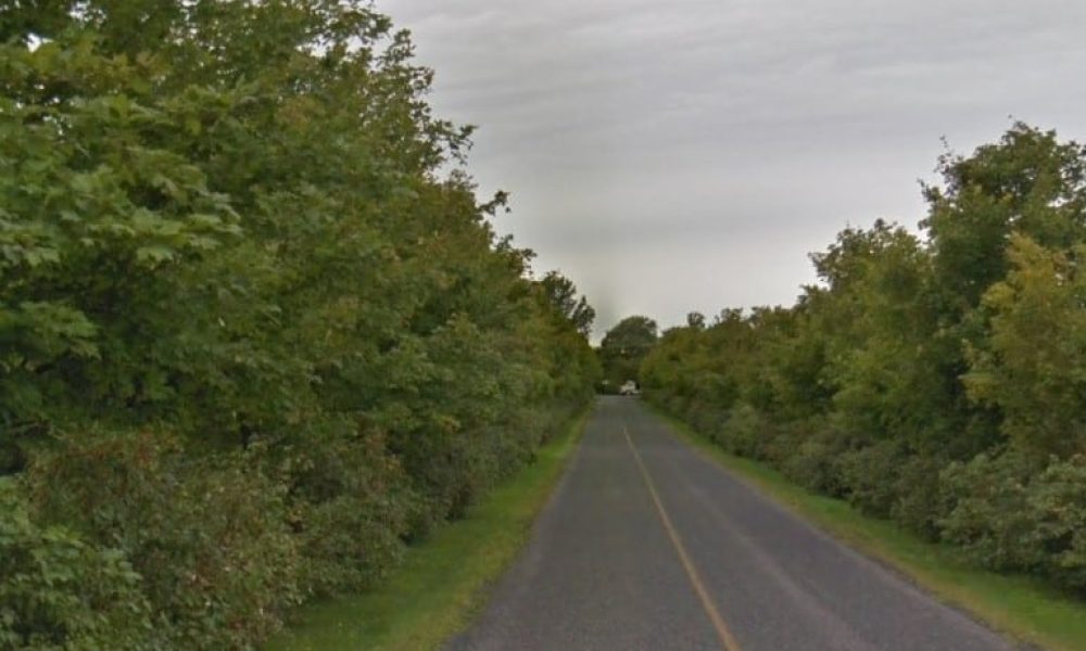 Du déminage au parc national du Mont-Saint-Bruno