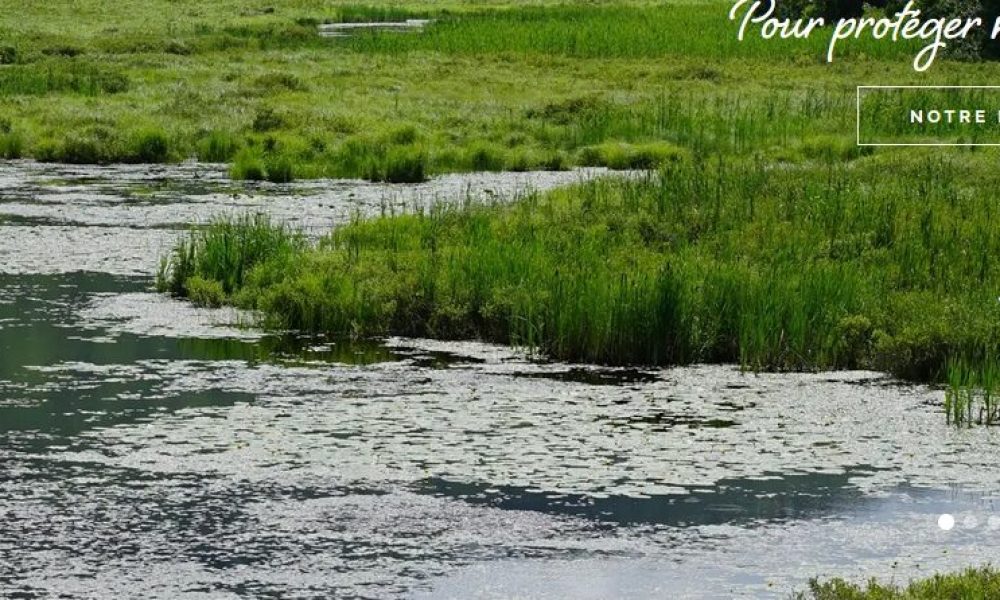 Le Sud du Québec a besoin de 3/4 G$ pour la biodiversité