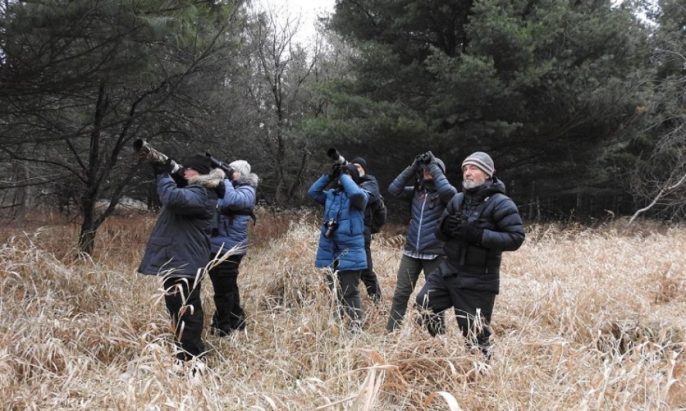 Une équipe d'ornithologues en action au parc des Îles de Boucherville. Photo : Pascale Berthe (Courtoisie)