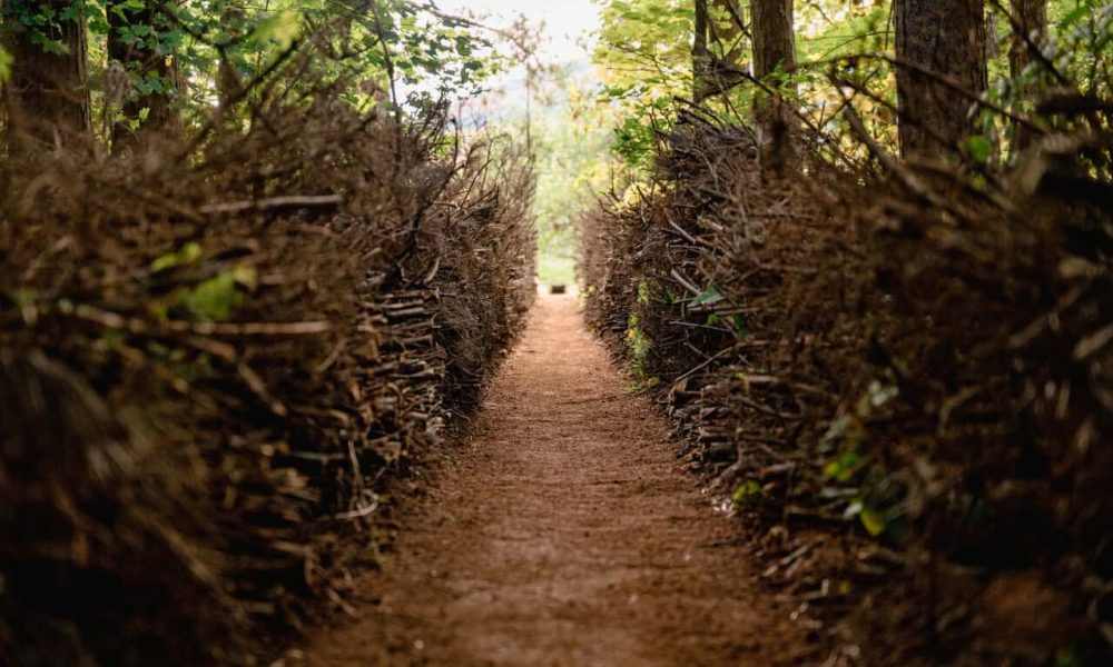 L’évènement de Créations-sur-le-champ/Land art est de retour à Saint-Hilaire