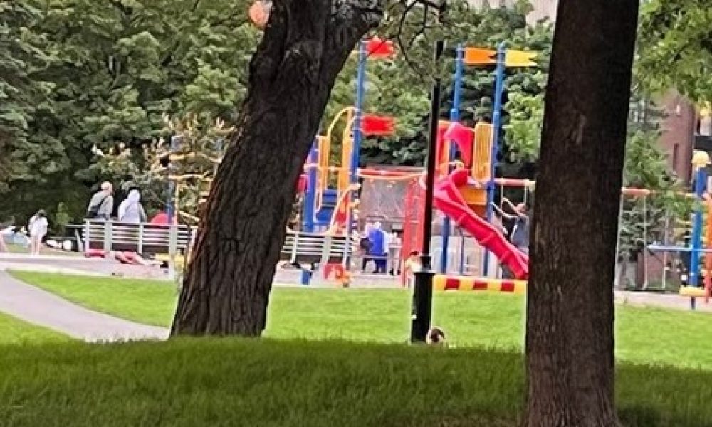 Longueuil fait construire un îlot au parc Gilles-Latulippe