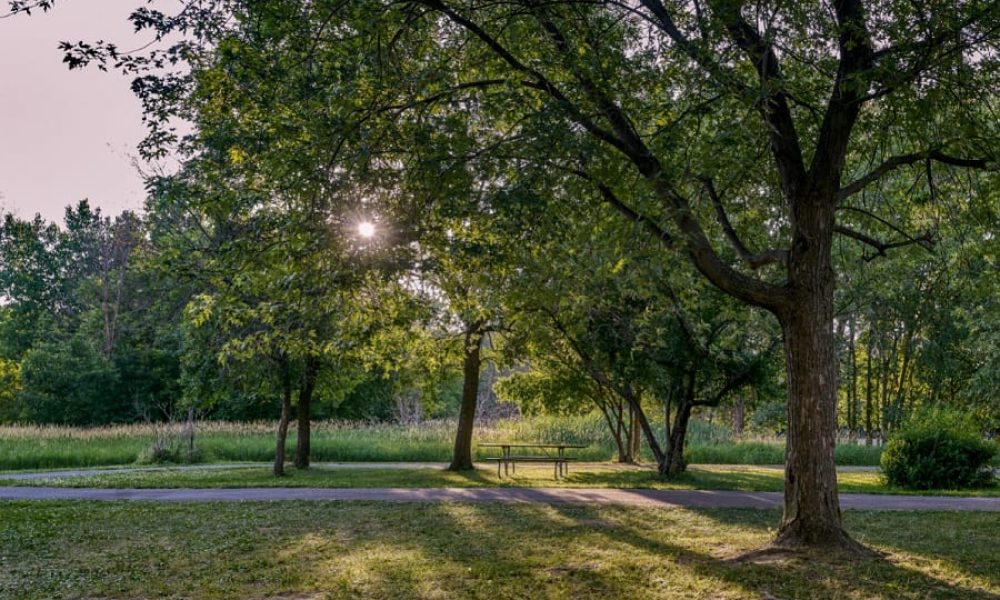 Photo: Site Web de la Ville de Longueuil