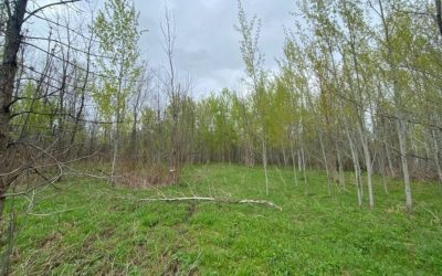 Plus d’argent pour les travaux d’aménagement de la forêt nourricière à Sainte-Julie