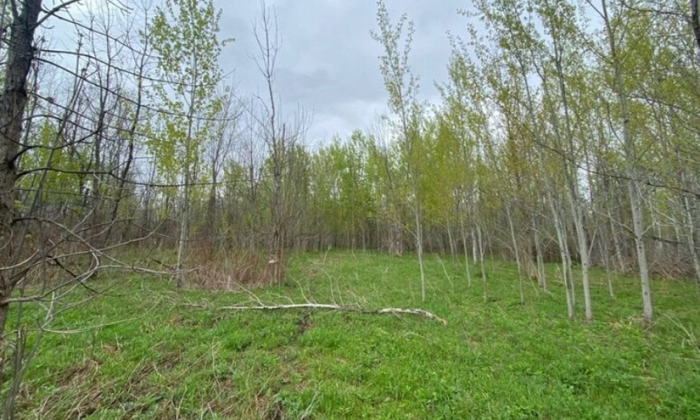 Plus d’argent pour les travaux d’aménagement de la forêt nourricière à Sainte-Julie