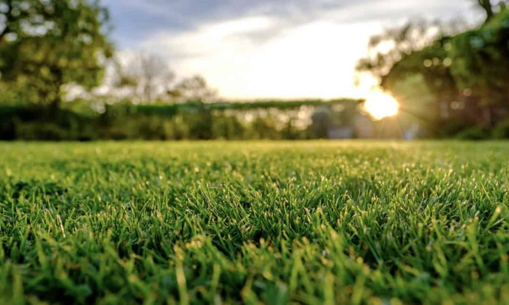 Boucherville maintient son règlement sur les pesticides