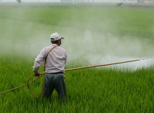 Candiac interdira certains pesticides nocifs à partir du 1er janvier 2022. Photo: Pixabay