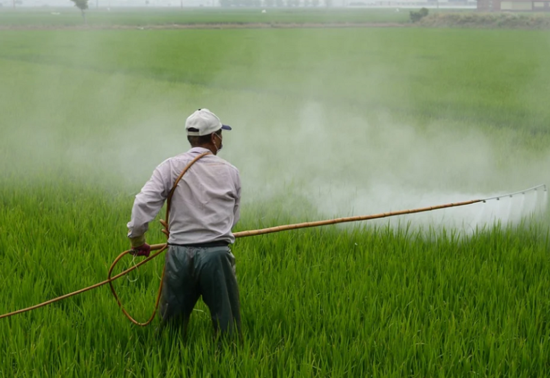 Candiac interdira certains pesticides nocifs à partir du 1er janvier 2022. Photo: Pixabay
