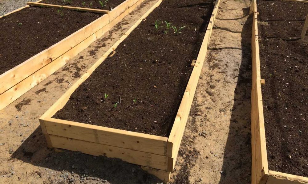 Photo: François Bertrand-Potvin