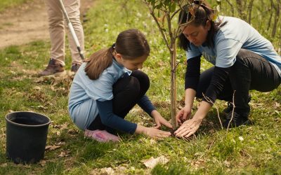 Article: Brossard prépare sa 17e édition du Jour de l’arbre