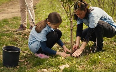 Article: Brossard prépare sa 17e édition du Jour de l’arbre